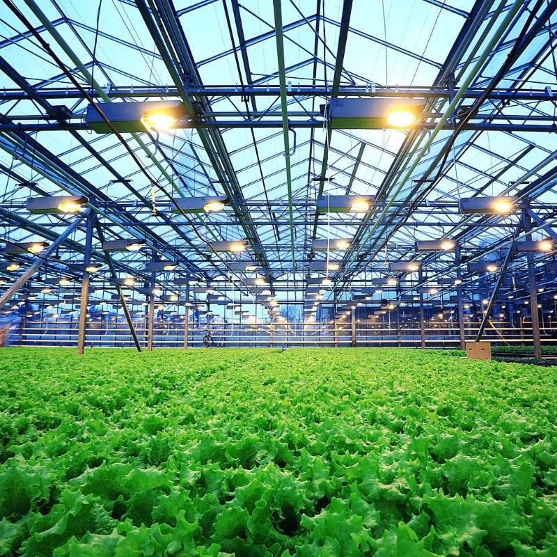 Interim in de agrarische sector