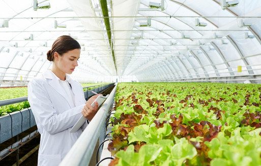 Auditor in de Tuinbouw