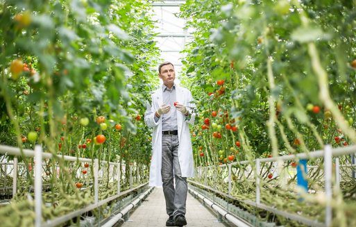 QESH Manager Tuinbouw