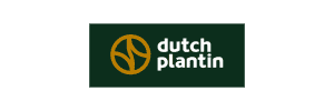 Dutch Plantin